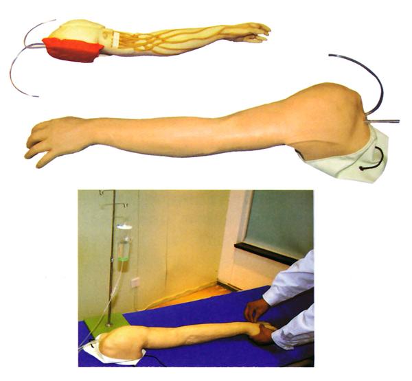 全功能完整静脉穿刺及注射训练手臂模型