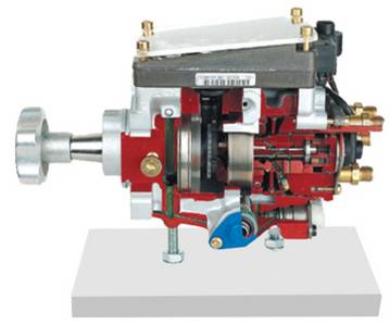 Vp44径向活塞分配泵解剖模型
